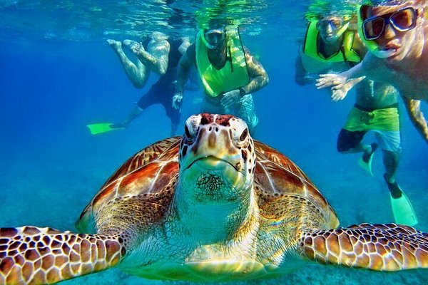 Traslado Akumal By Transfers Plus